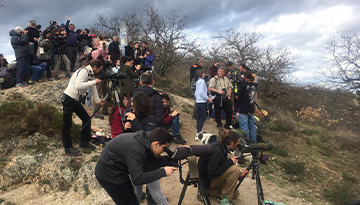 Trois sites exceptionnels pour observer la migration des oiseaux avec la LPO Auvergne-Rhône-Alpes